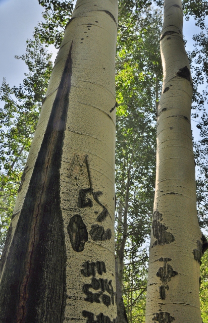 Lower Cataract Lake Trail